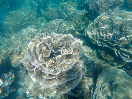 Bill's Bay