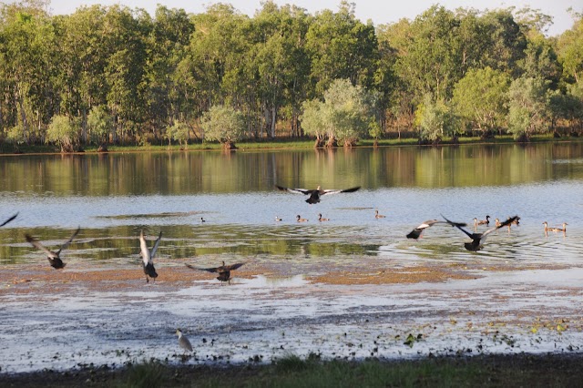 Cahills Crossing