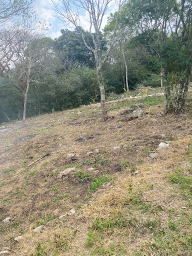 Los cedros San Fernando camping - Thumbnail
