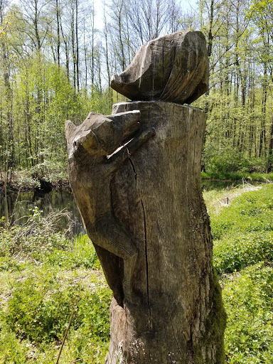 Biotop Westenholz - Thumbnail