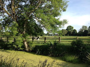 Photo n°4 de Haras de Montmarcé à Le Merlerault (Entraîneur de chevaux)