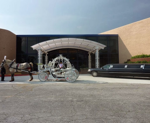 Morrow Center - Visual