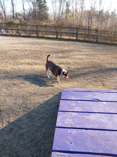 Phil White Dog Park - Thumbnail