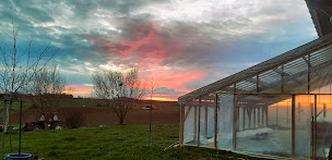 Photo n°4 de le jardin de Maria & Nico à Saint-Jean-de-Duras (Ferme)