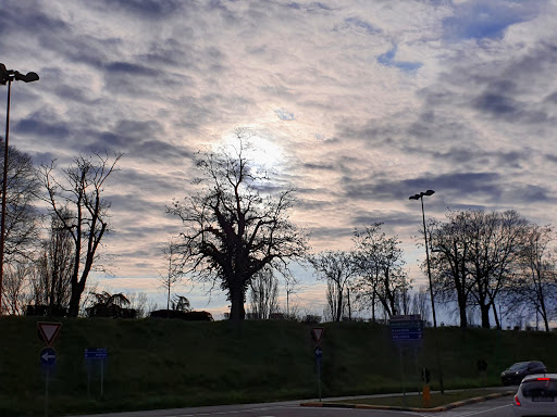 Rampari San Rocco - Thumbnail
