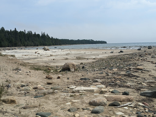 Coastal Alvar Trail - Thumbnail