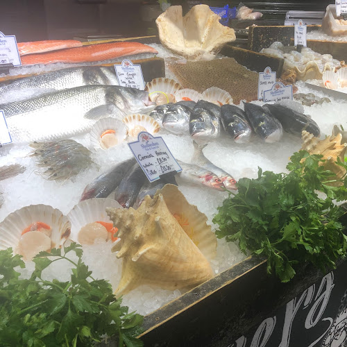Shellseekers Fish & Game - Supermarket