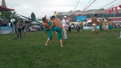 Futbol Sahası