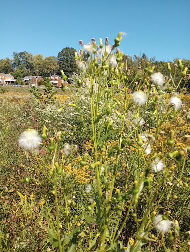 Chalfant Run Watershed - Thumbnail