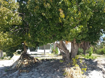 Photos of Coco Point Lodge
