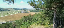 Cetatea Șcheii - Muzeu