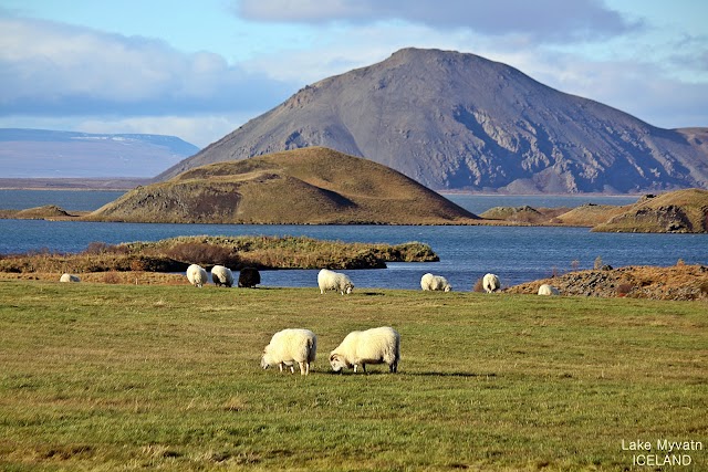 Mývatn