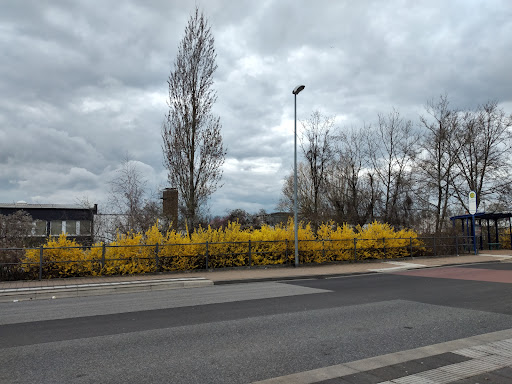 Station Groß-Gerau Dornberg Gallery - Germany