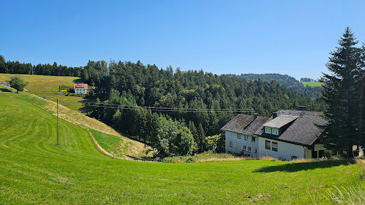Gasthaus Sonne Neuhäusle - Thumbnail