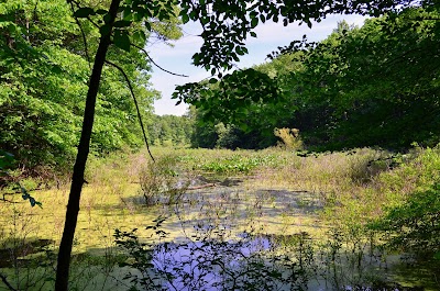 Photos of Moraine Nature Preserve