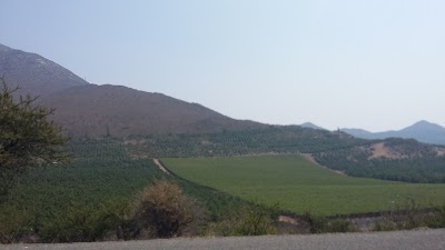 Photos of Los Puquios