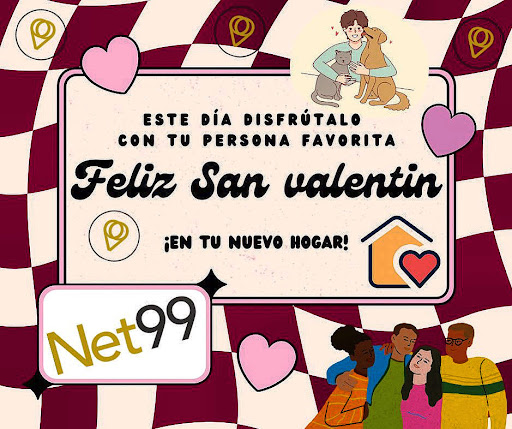 Net99 - Thumbnail