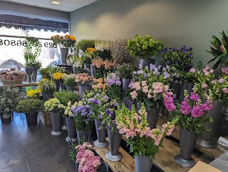Funeral Flowers Cardiff