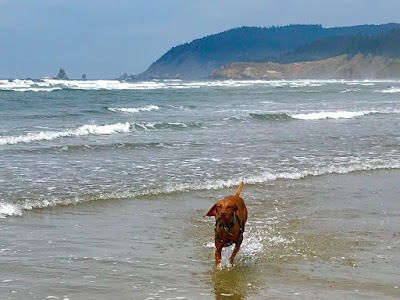 Cannon Beach