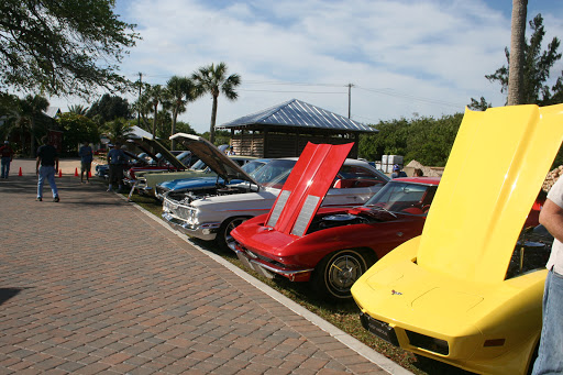 Dolphin Auto, LLC - Visual