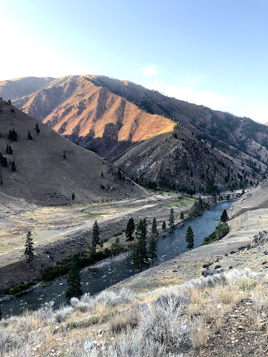 Cougar Ranch IDFG Airstrip