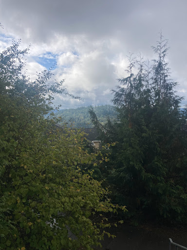Happy Valley Stairs - Top of Stairs - Thumbnail