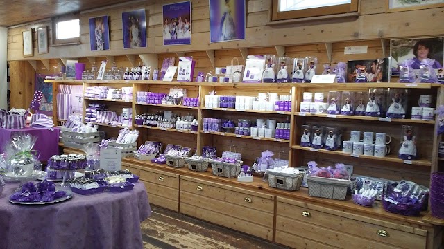 La Maison de la Violette