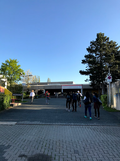 Friedrich Ebert School - Visual