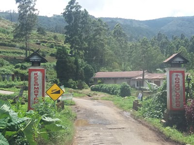 grocery-or-supermarket
