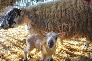 Umberslade Estate