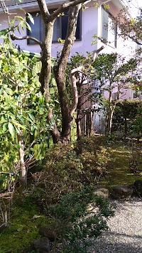 ガーデンもくもく