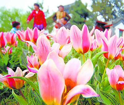 Photos of Hongbaihua Park