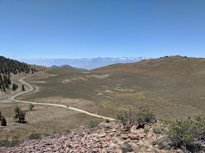 Ancient Bristlecone Pine Forest Visitor Center