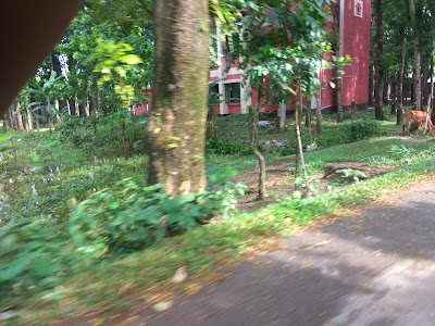 Photos of Grameen Bank,kendua Branch