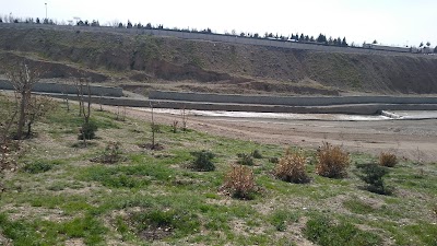 Photos of Elham Park