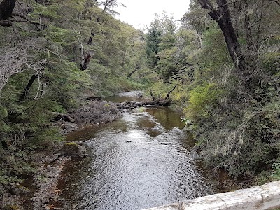 Photos of Las Carpitas