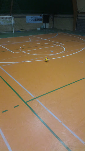 Siena Baseball - Visual