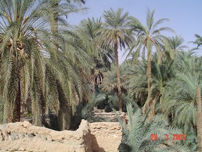 Photos of Bgdams old mosque was built in 44 AH
