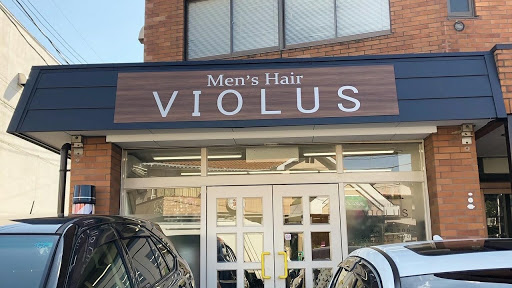 Men's Hair VIOLUS