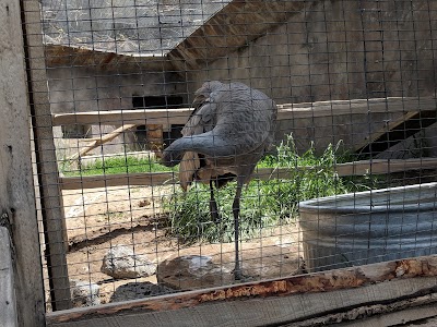 Zoo Idaho