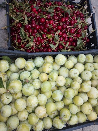 Tunç Market