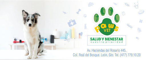 Clínica Veterinaria Paws Vet