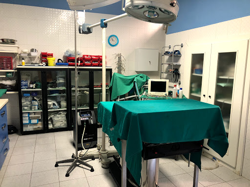 Ambulatorio Veterinario "Salvatore Pepe" - Thumbnail