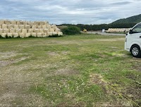 ポセイドン遊魚