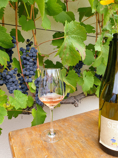 Weingut Bernard - Visual