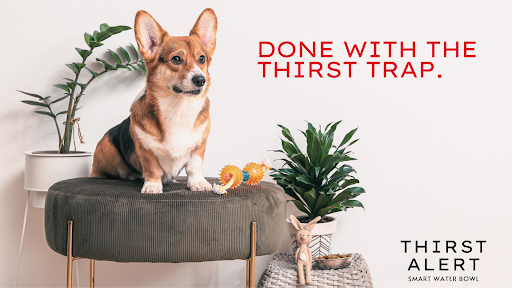 Thirst Alert - Visual