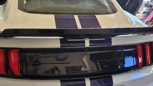 Ray's Tinting - Visual