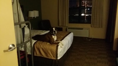 Photos of Extended Stay America - Fort Lauderdale - Convention Center - Cruise Port