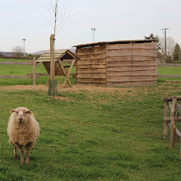Photo n°15 de AUTOUR DE LA BRANCHE à La Plaine-sur-Mer (Négociant en bois)