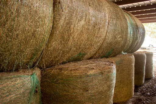 Brewer Feed and Hay - Thumbnail